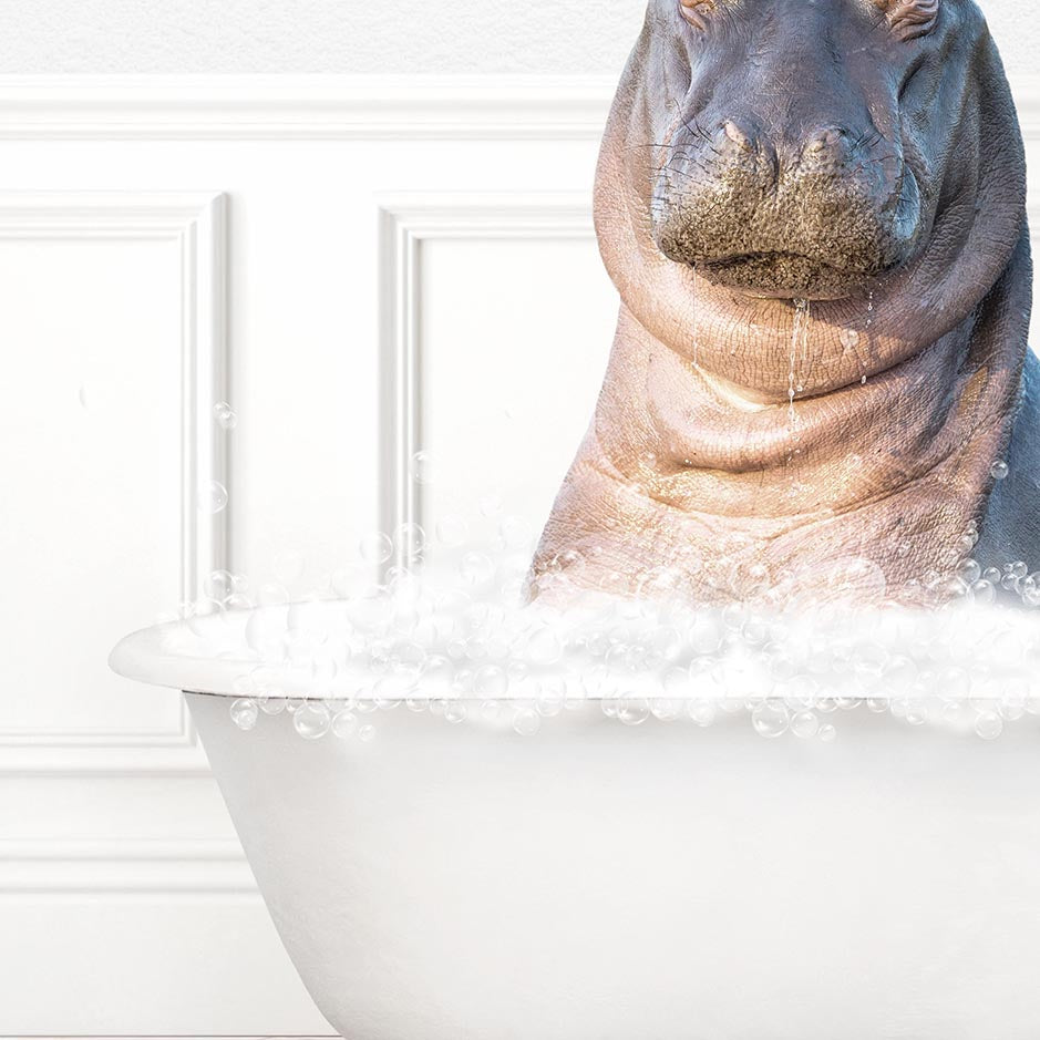 Baby Hippo in Modern Bath