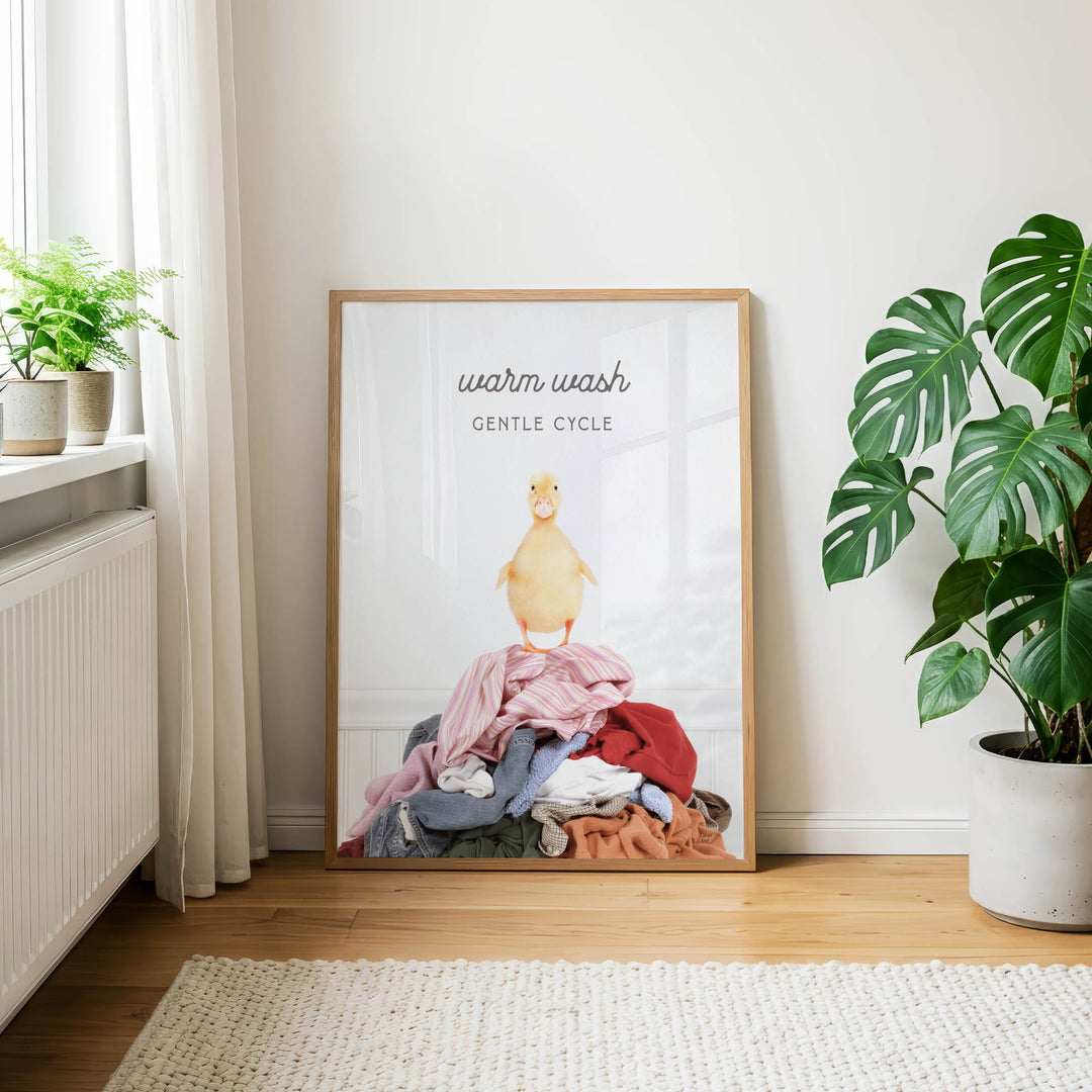 a poster with a duck standing on a pile of clothes, accompanied by the text "Warm wash Gentle Cycle".