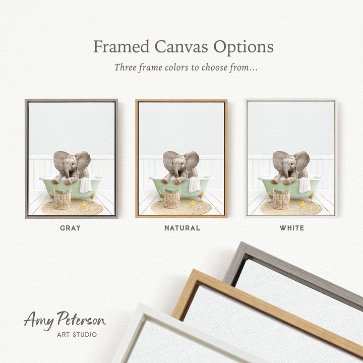 three framed canvas options, each featuring a different color: gray, natural, and white. The text above the images reads " framed Canvas Options" and "Three frame colors to choose from...". The bottom of the image includes the text " Amy Peterson ART STUDIO".