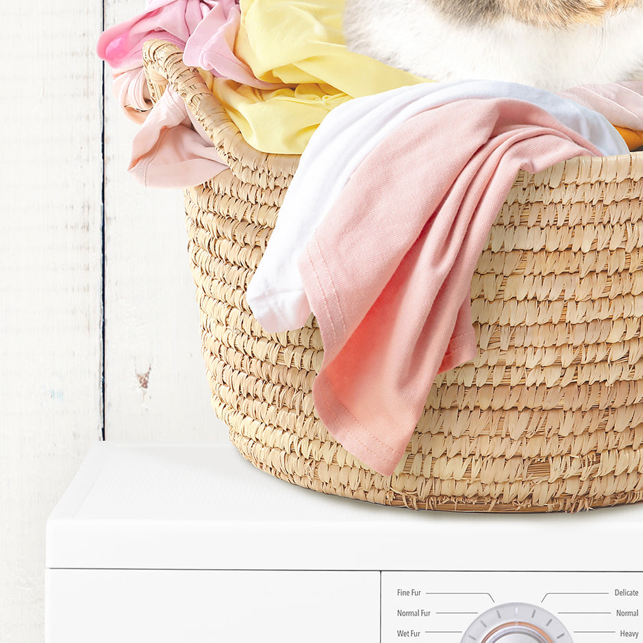 Bashful Bunny in Laundry Basket on Washing Machine- Farmhouse Wall