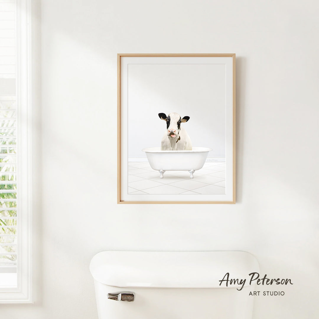 Holstein Cow in Neutral Bath