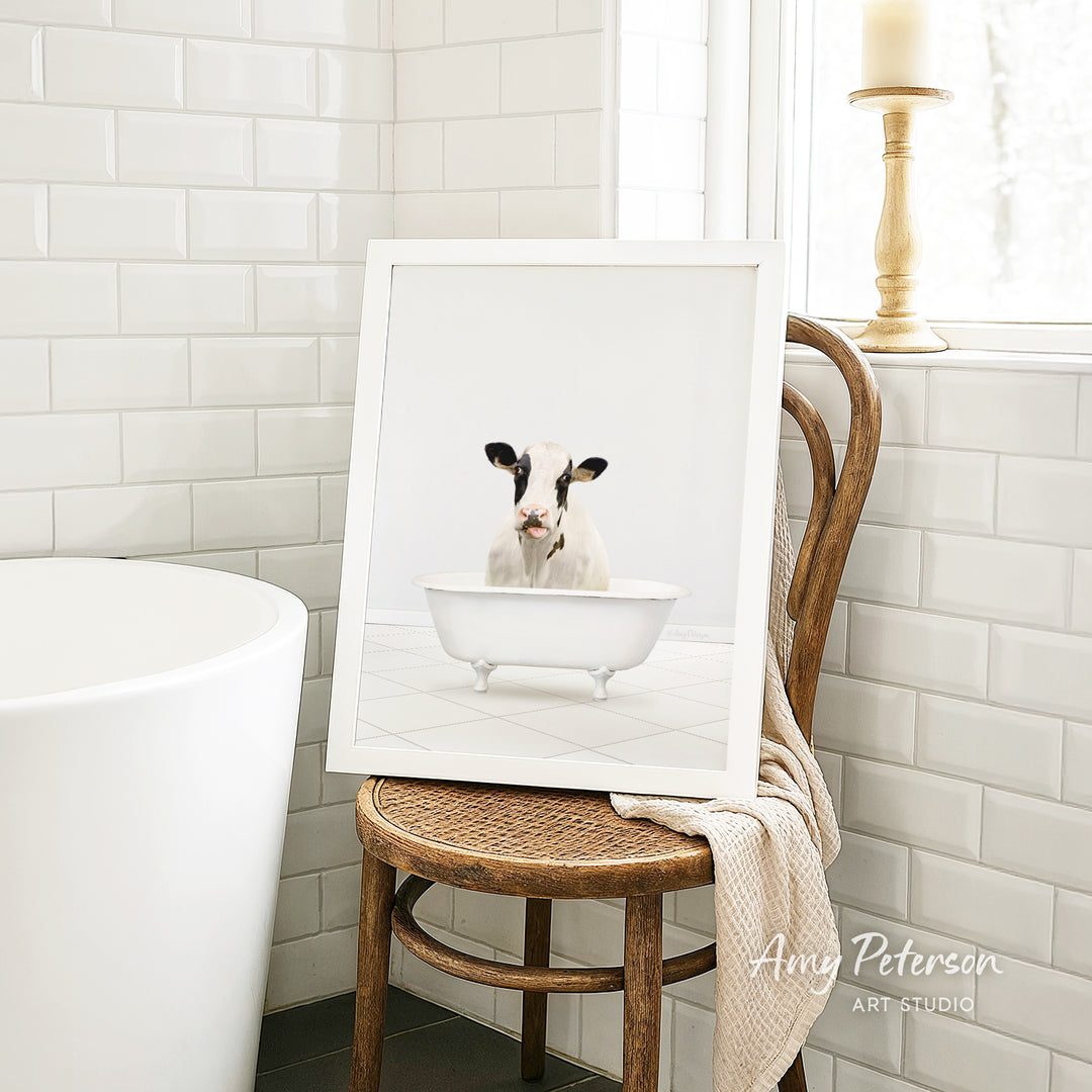 Holstein Cow in Neutral Bath