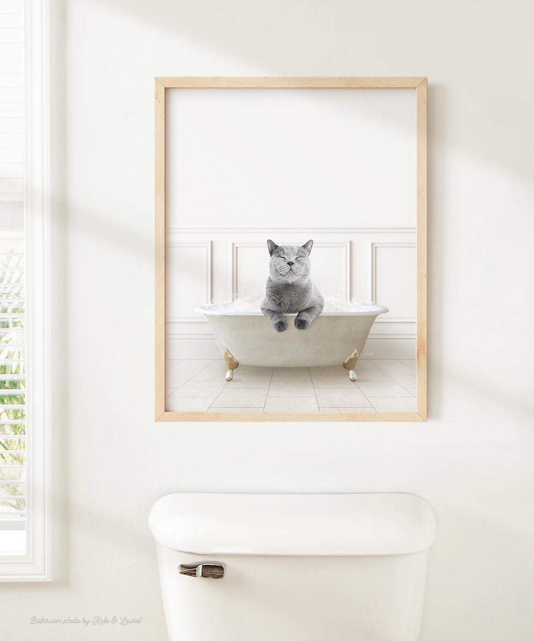 Cat in Modern Neutral Bath