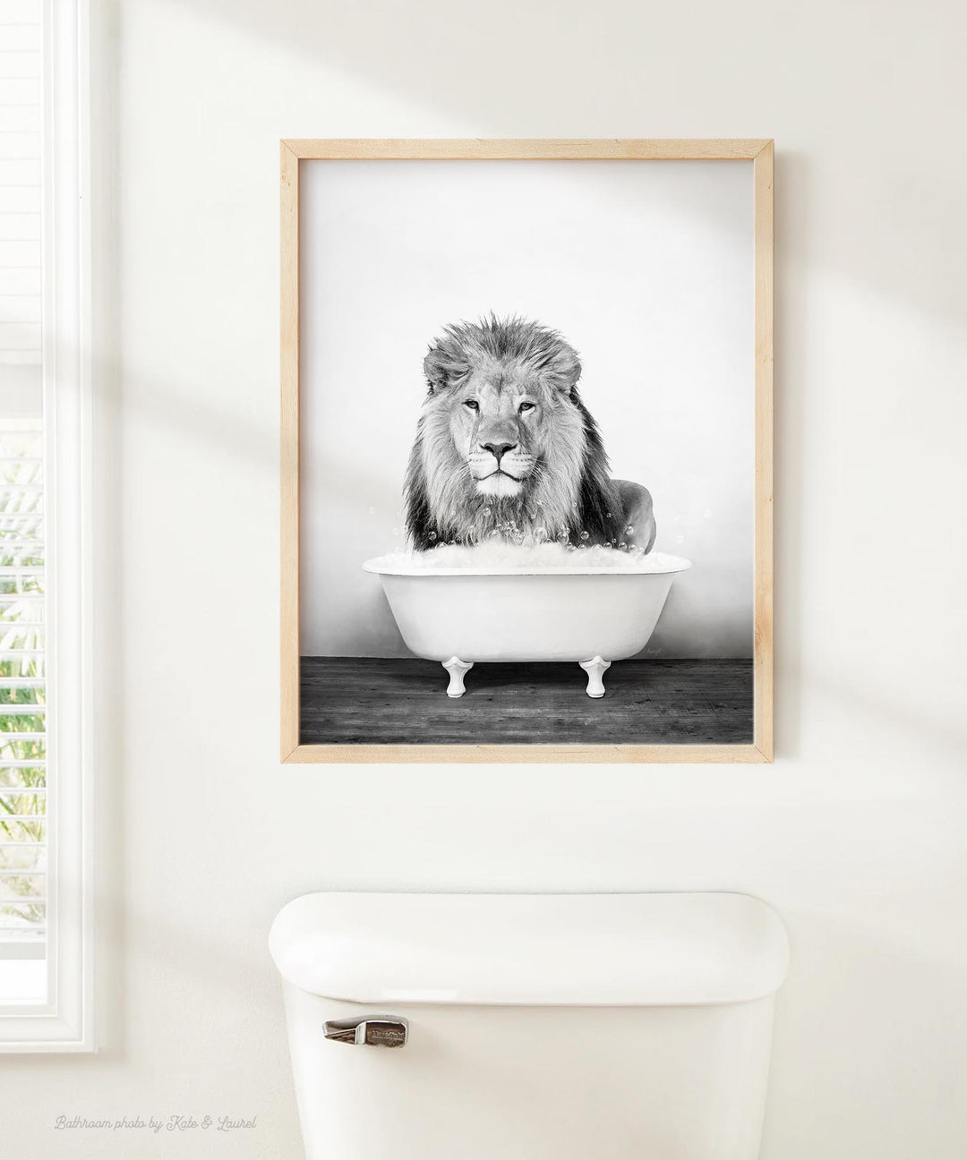 Male Lion in Rustic Black and White
