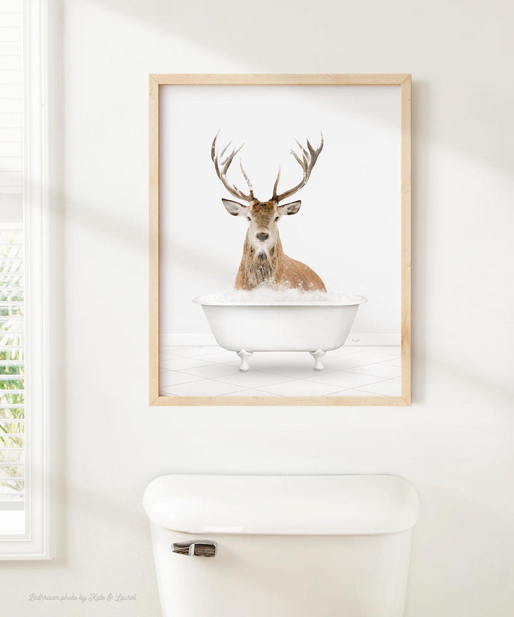 Male Stag Deer in Neutral Bath
