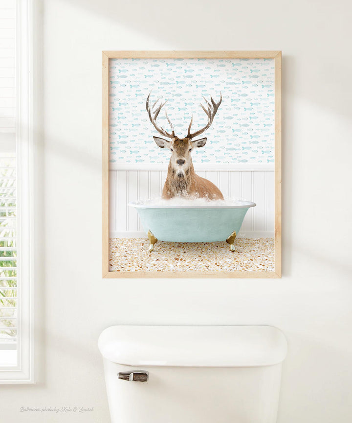 Male Deer in Little Fish Bath