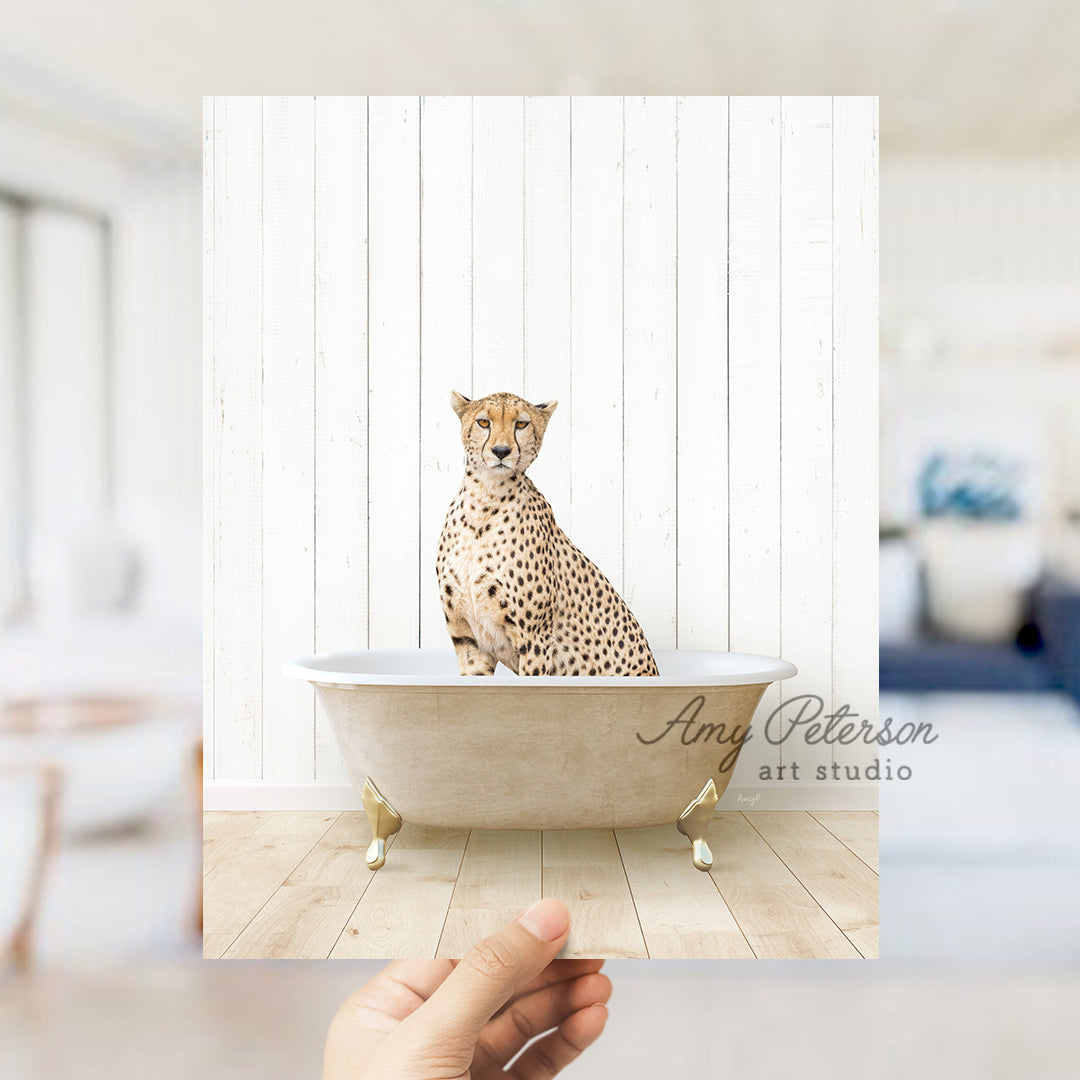 a hand holding a photo of a cheetah sitting in a bathtub