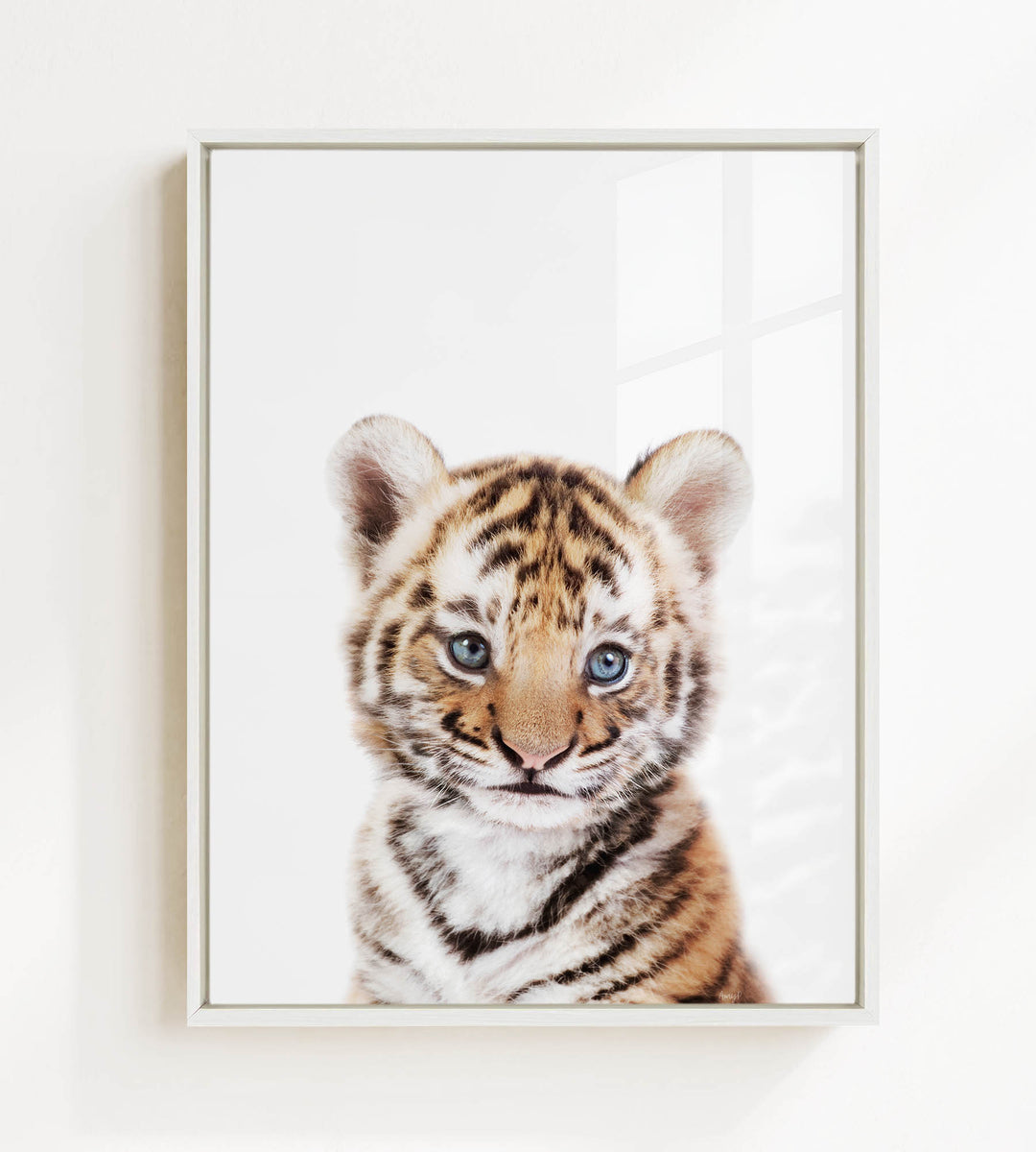 A young tiger cub with striking blue eyes and a captivating expression is the focal point of the image.