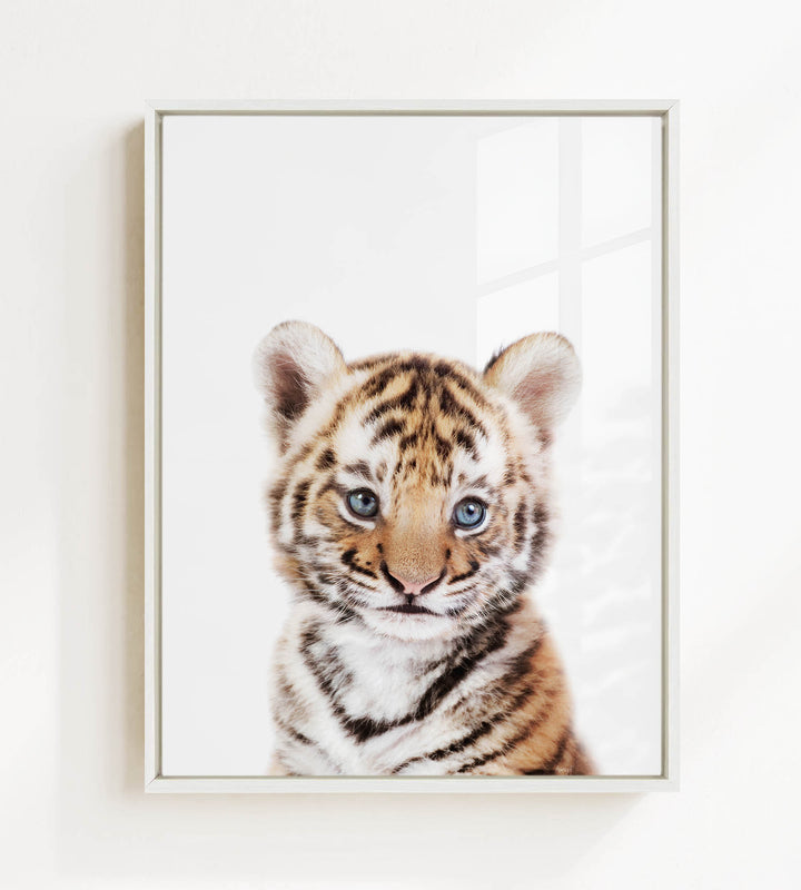 A young tiger cub with striking blue eyes and a captivating expression is the focal point of the image.