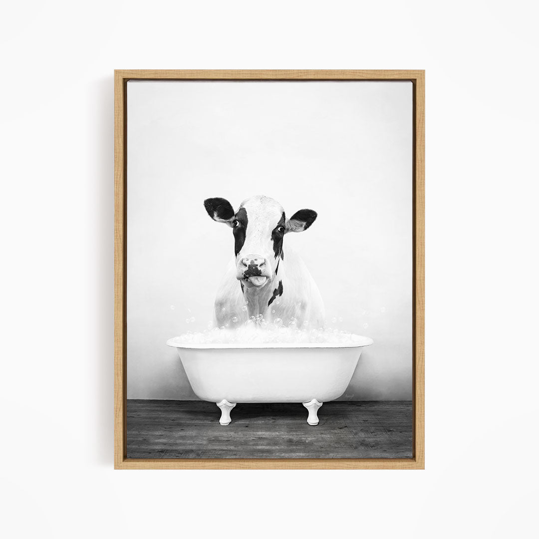 A black and white photograph of a cow standing in a bathtub filled with water, looking directly at the camera.