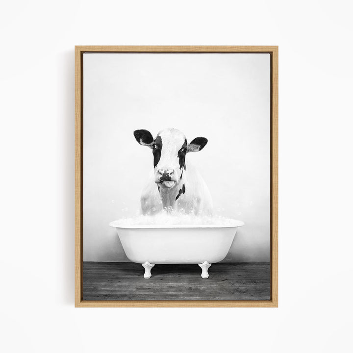 A black and white photograph of a cow standing in a bathtub filled with water, looking directly at the camera.