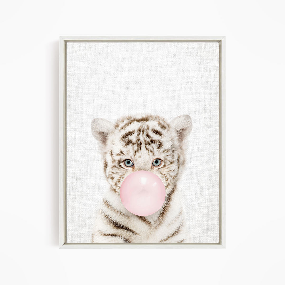 A cute white tiger cub blowing a bubble with a pink bubble gum bubble.