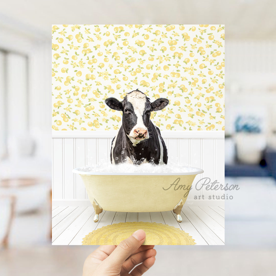 a black and white cow sitting in a bathtub