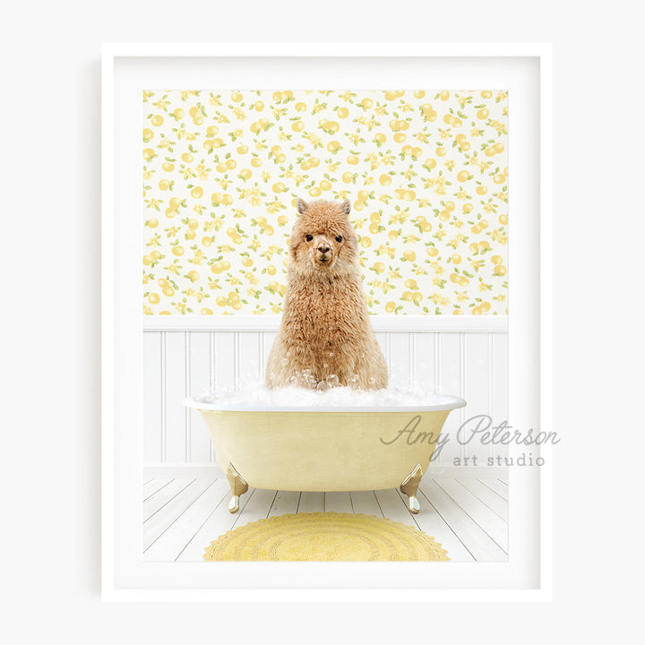 a brown dog sitting in a bath tub