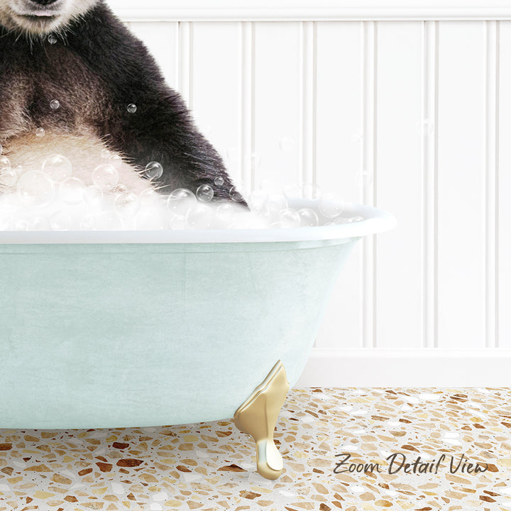 A close-up of a cat's paw in a bathtub filled with bubbles, with a text overlay that reads "Zoom Detail View".