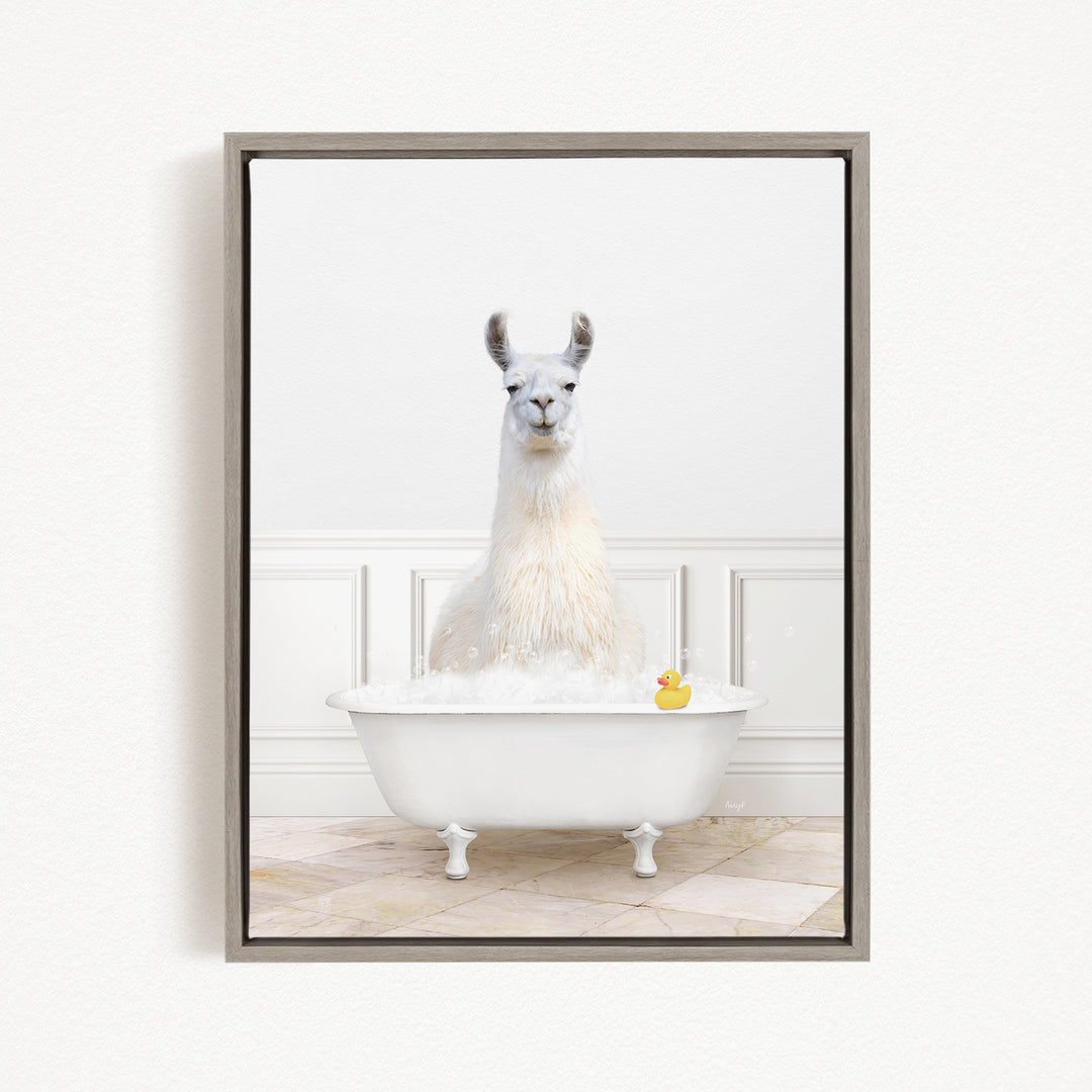 A white llama sitting in a white bathtub, with a rubber duck floating in the water.