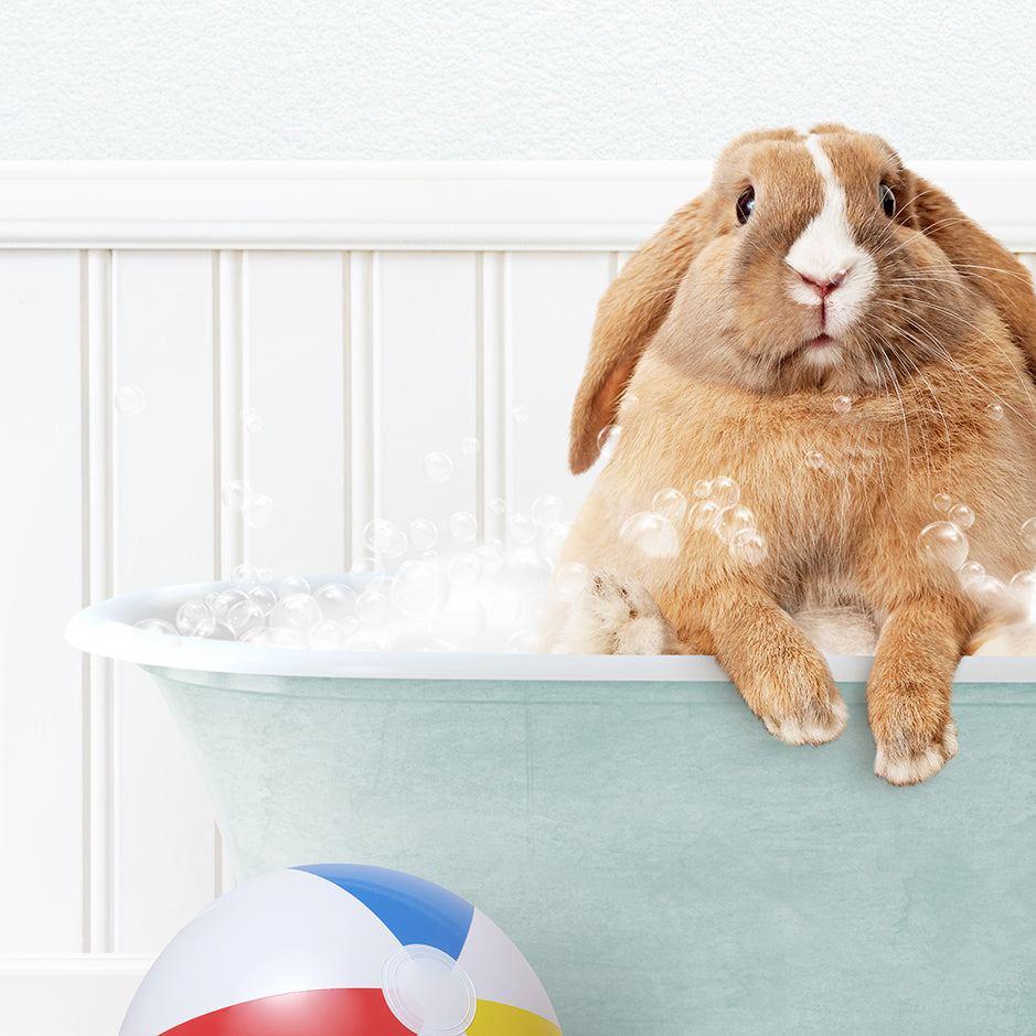 a rabbit sitting in a bathtub with bubbles