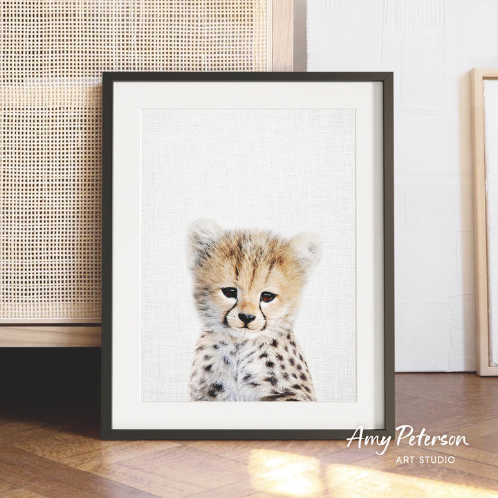 A framed photograph of a young cheetah with a white background and a wooden floor in the foreground.