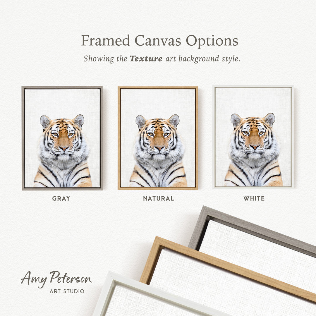 three framed canvas options, each with a different background color: gray, natural, and white. The text above the images reads " Framed Canvas Options" and "Showing the Texture art background style."