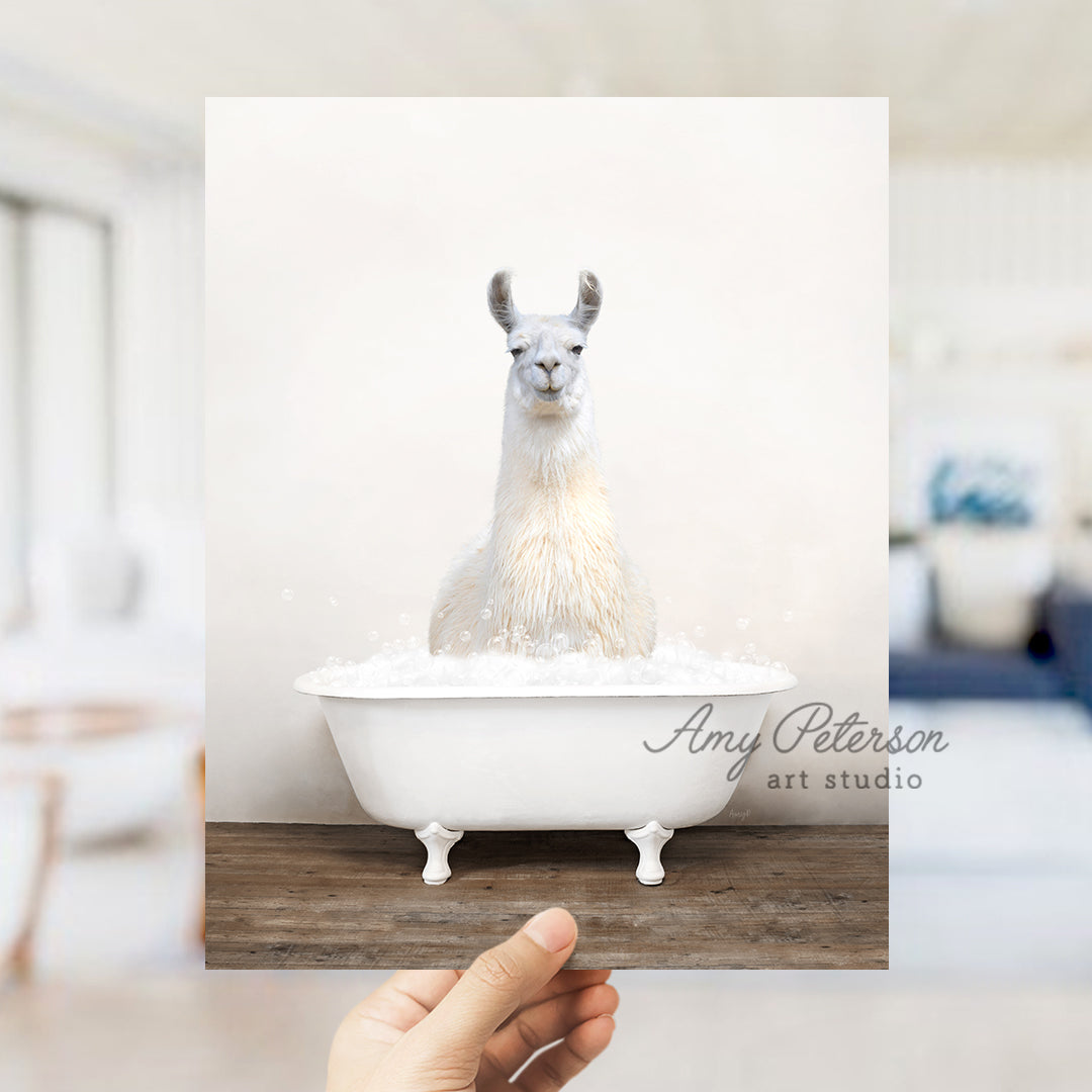 a llama in a bathtub with a white background