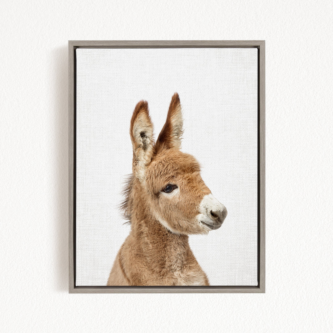 A close-up portrait of a donkey with a neutral expression, set against a plain white background.