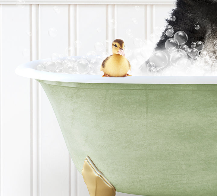 a dog in a bathtub with bubbles and a rubber duck