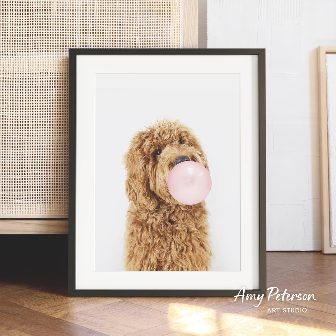 A framed photograph of a brown curly-haired dog blowing a bubble with a pink bubble gum bubble.