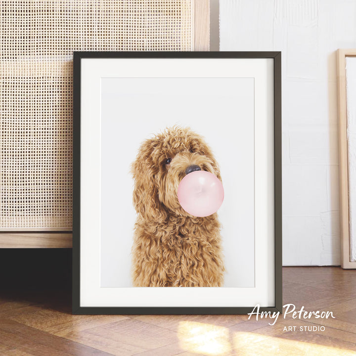 A framed photograph of a brown curly-haired dog blowing a bubble with a pink bubble gum bubble.