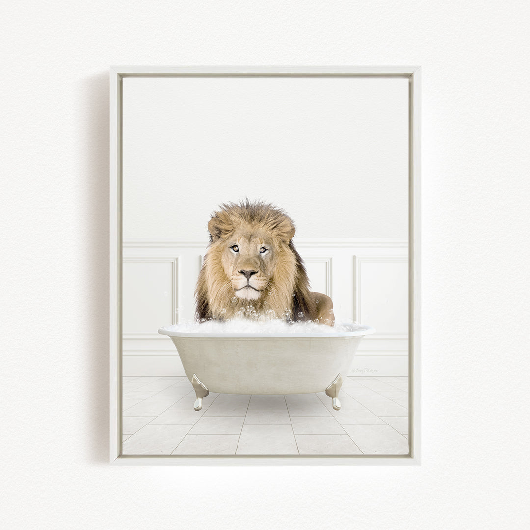 A lion sitting in a bathtub filled with water, looking directly at the camera.