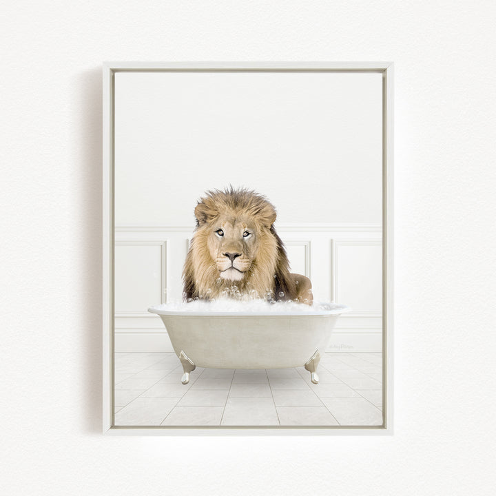 A lion sitting in a bathtub filled with water, looking directly at the camera.