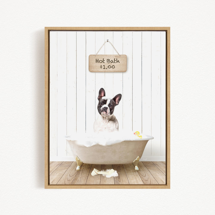 A French Bulldog sitting in a bathtub filled with bubbles, with a sign above indicating a hot bath for $1.00.