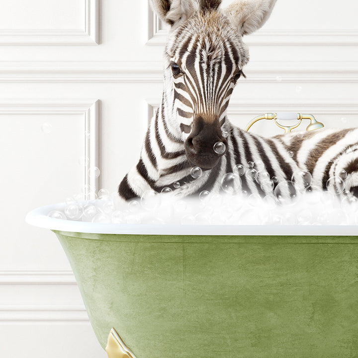 a baby zebra laying in a bath tub