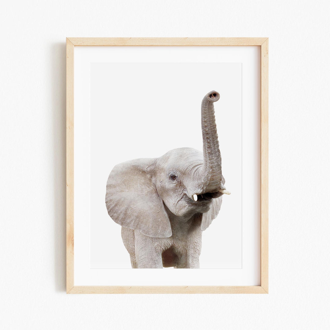 a picture of an elephant with its trunk in the air