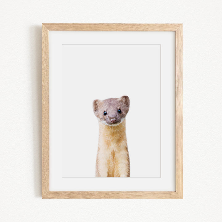 A cute beige and white animal, possibly a small rodent or rodent, is standing upright and looking directly at the camera in a white frame.