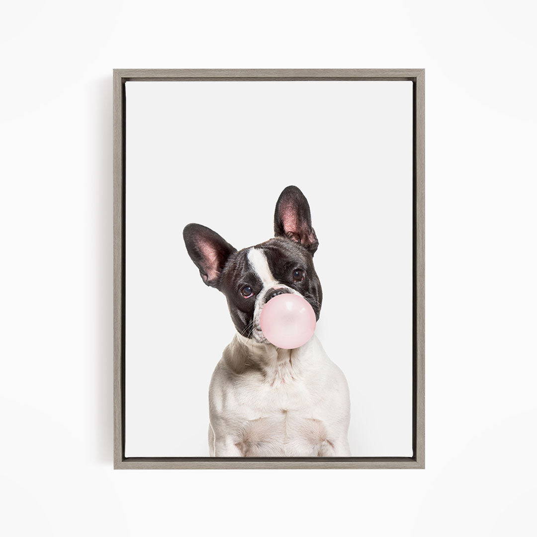 A black and white dog is blowing a bubble with a pink bubble gum bubble.