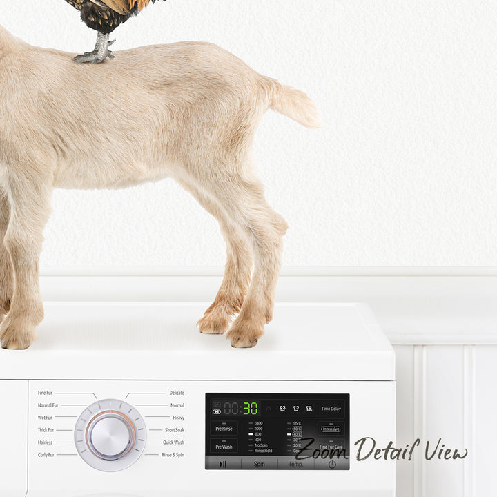 A dog standing on top of a white washing machine with various controls and settings visible.