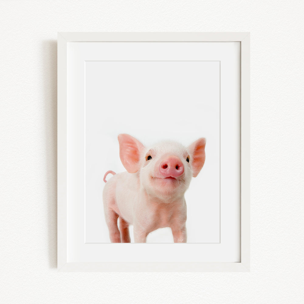 A cute, pink pig with large ears and a pink nose is the main subject of the image, which is a framed picture.