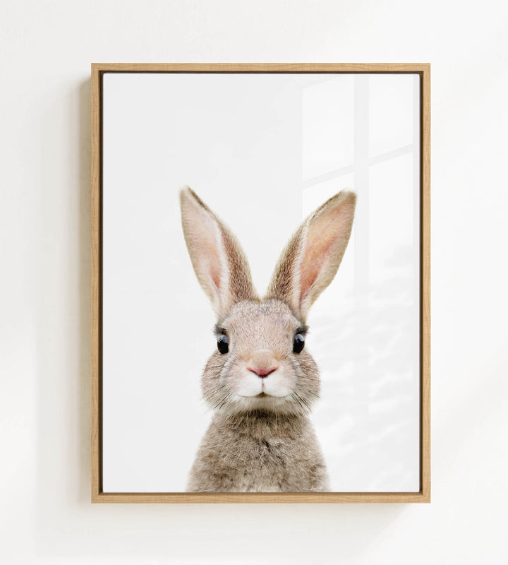 A framed photograph of a rabbit with large ears and a pink nose, looking directly at the camera.
