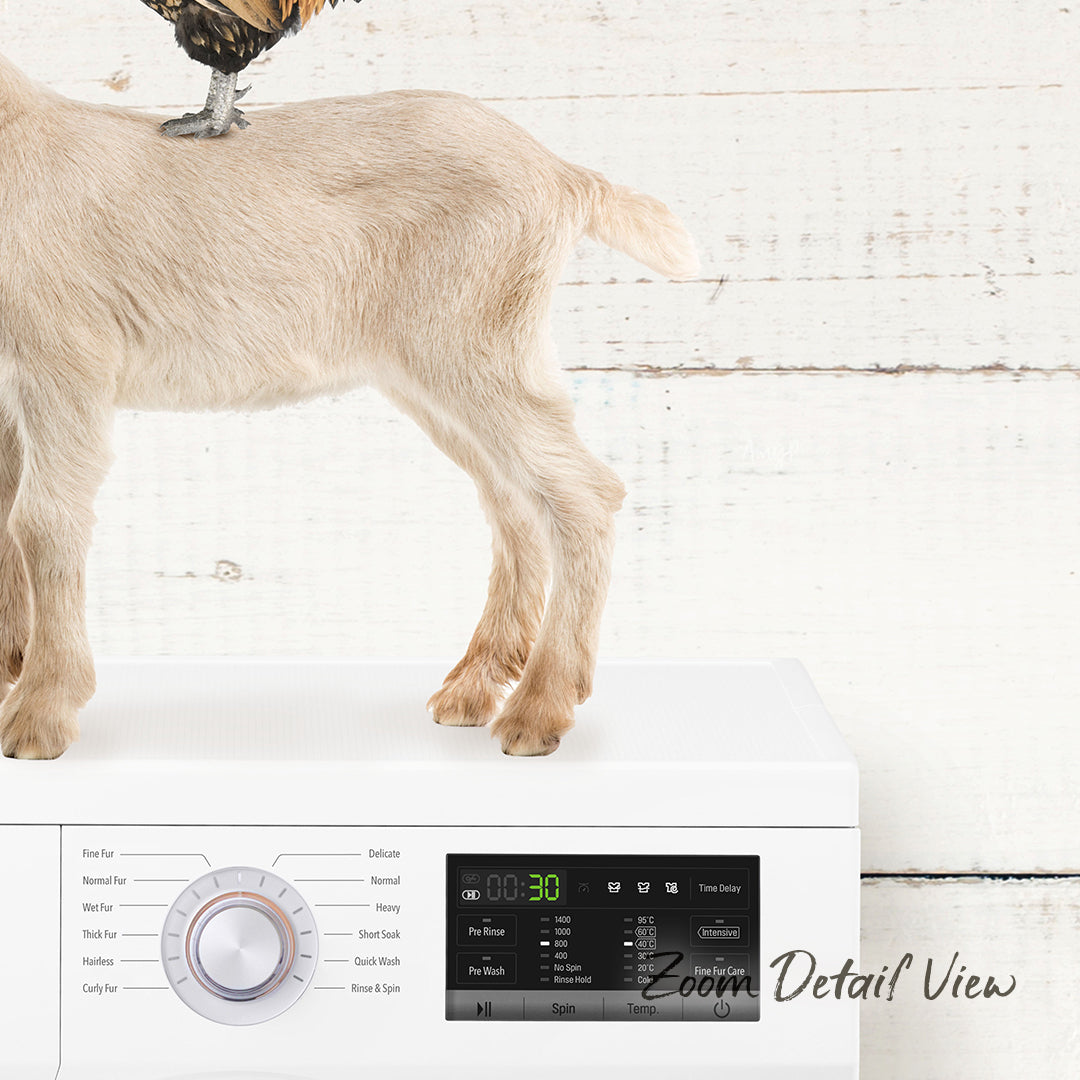 A goat standing on top of a white washing machine with various controls and settings visible.