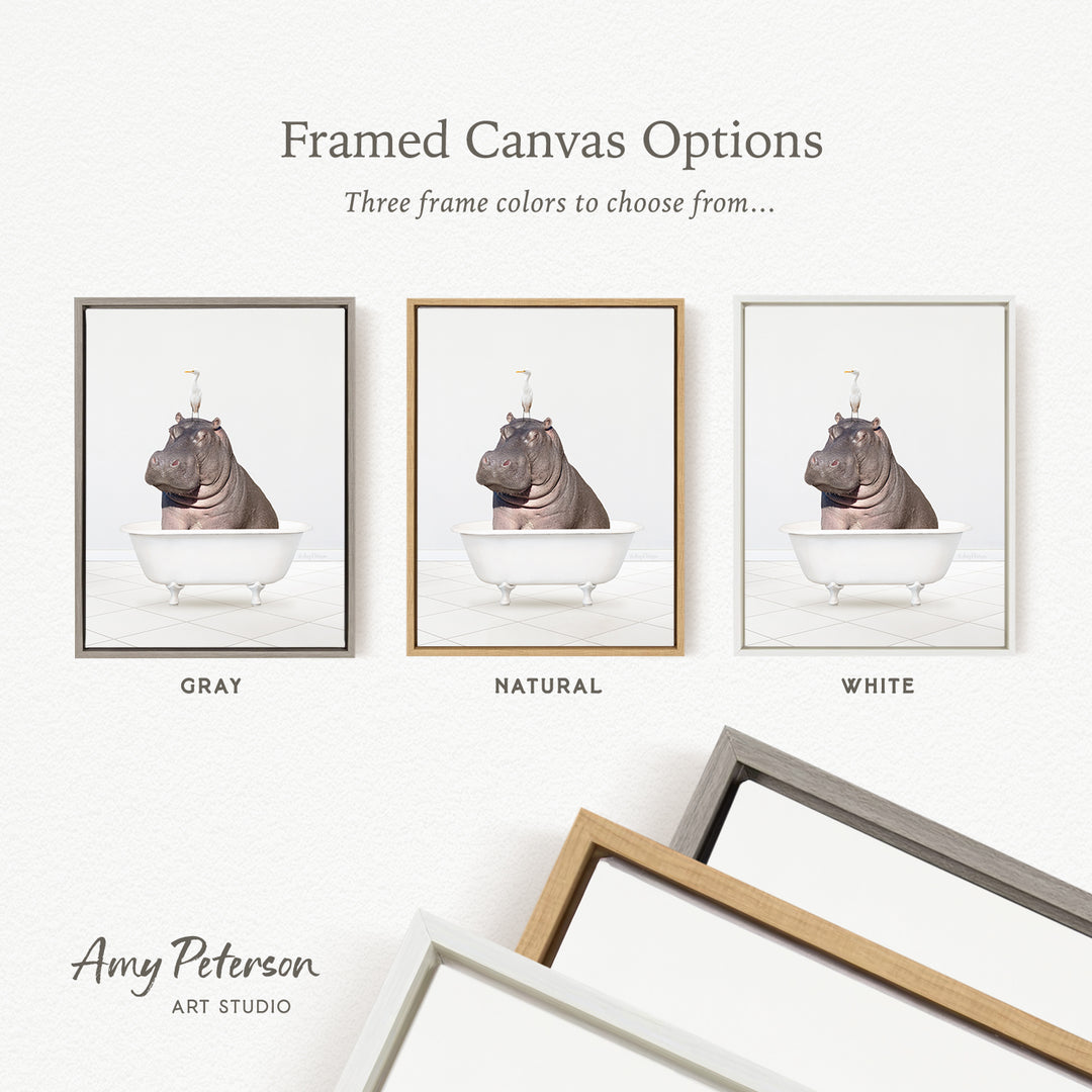 three framed canvas options, each featuring a photograph of a hippopotamus sitting in a bathtub. The options include a gray frame, a natural frame, and a white frame.