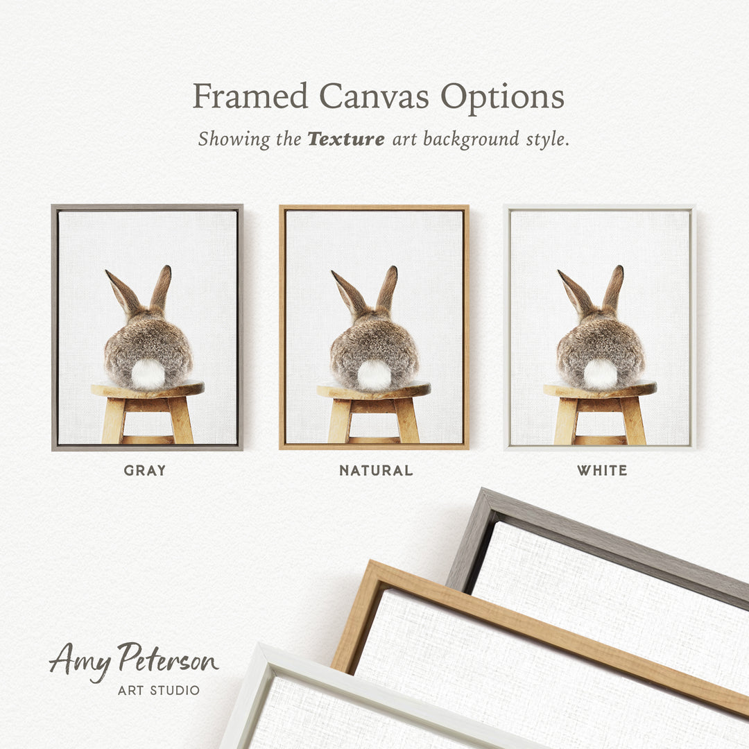 three framed canvas options, each with a different background style: gray, natural, and white. The text above the images reads " Framed Canvas Options" and "Showing the Texture art background style."