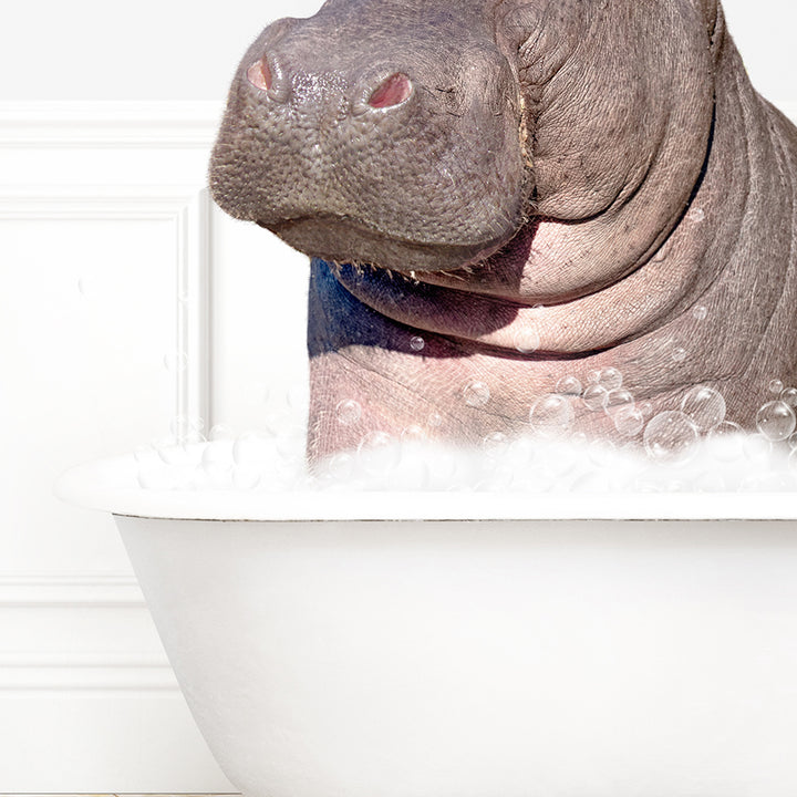 a hippopotamus sitting in a bathtub with bubbles