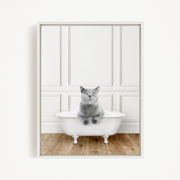 A gray cat sitting in a white bathtub, with a white wall and wooden floor in the background.