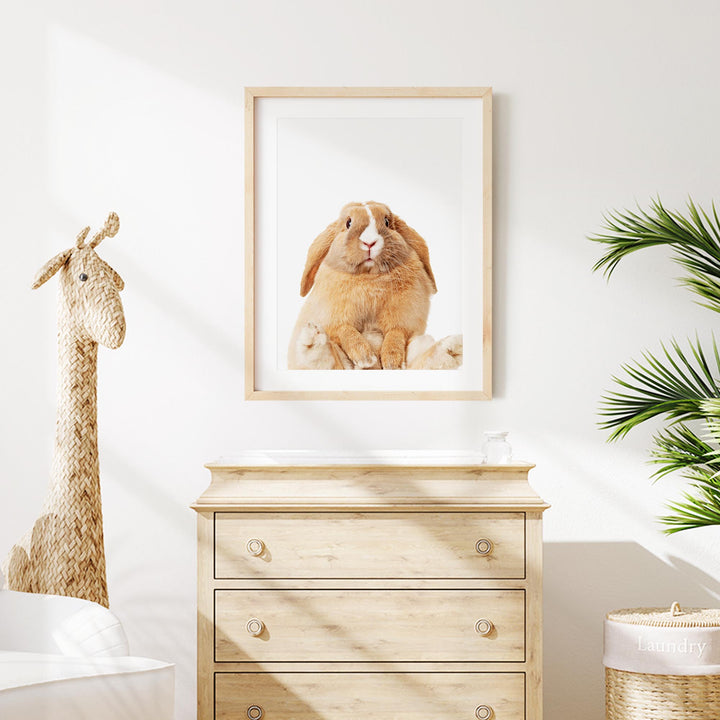 a picture of a rabbit and a giraffe hanging on a wall