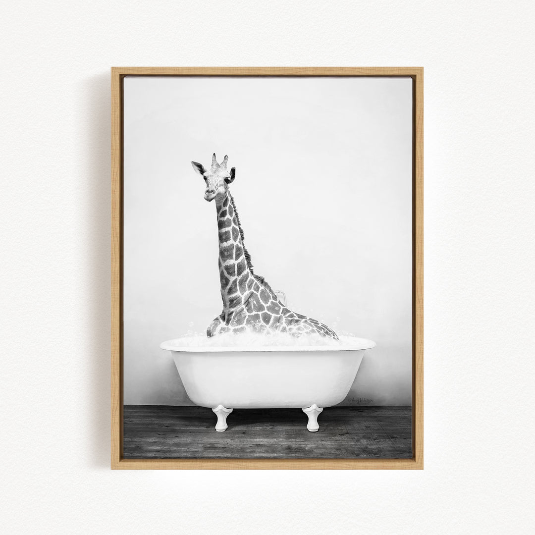 A giraffe sitting in a white bathtub filled with water, creating a whimsical and playful scene.
