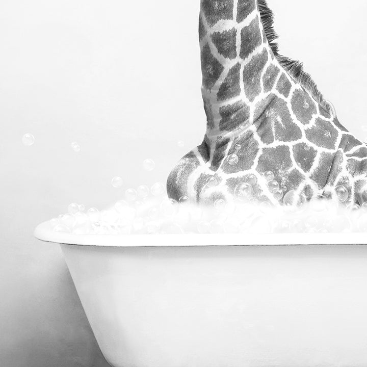 a black and white photo of a giraffe in a bathtub