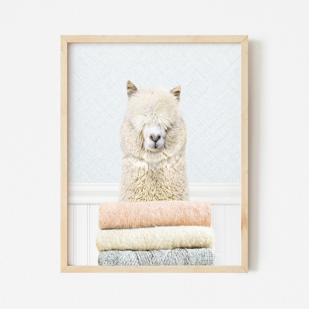 a picture of a llama sitting on top of a pile of towels