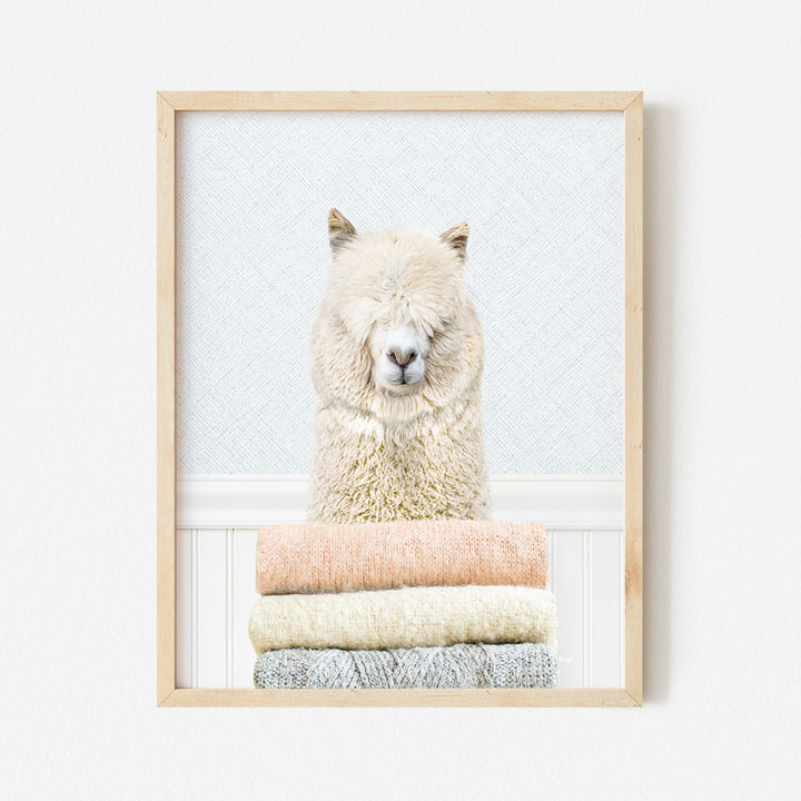 a picture of a llama sitting on top of a pile of towels