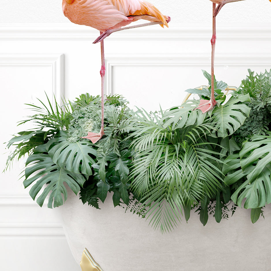 two flamingos are standing on top of a plant