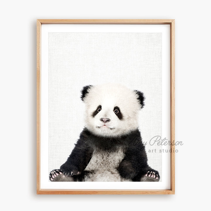 a black and white panda bear sitting in front of a white background